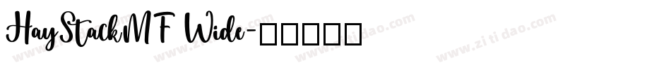 HayStackMF Wide字体转换